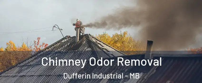  Chimney Odor Removal Dufferin Industrial - MB