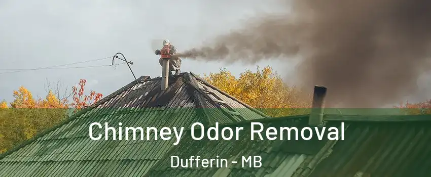  Chimney Odor Removal Dufferin - MB