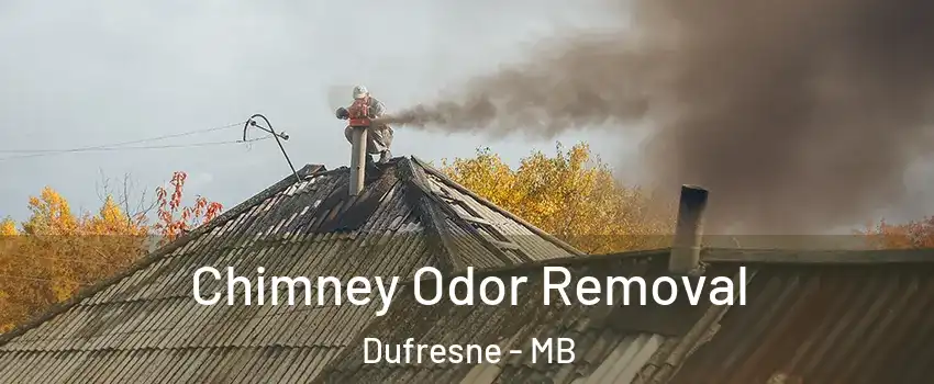  Chimney Odor Removal Dufresne - MB