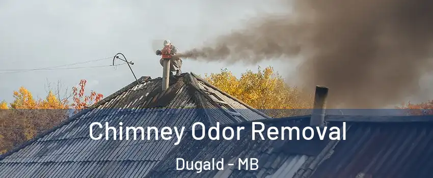  Chimney Odor Removal Dugald - MB