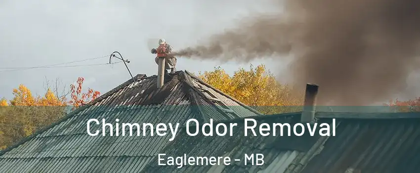  Chimney Odor Removal Eaglemere - MB