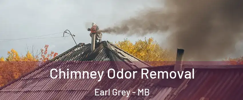  Chimney Odor Removal Earl Grey - MB