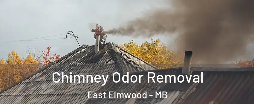  Chimney Odor Removal East Elmwood - MB