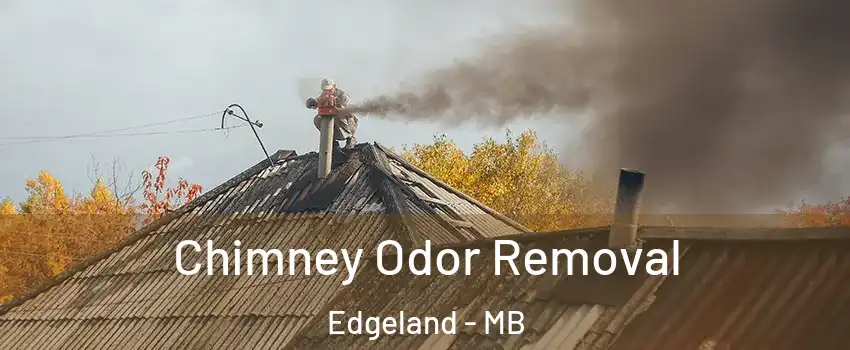  Chimney Odor Removal Edgeland - MB