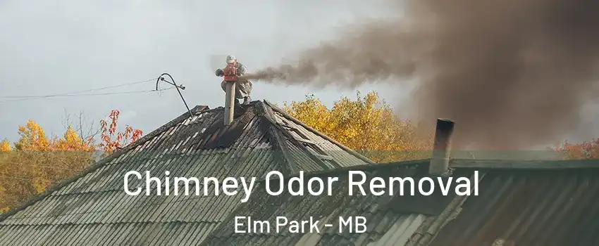 Chimney Odor Removal Elm Park - MB