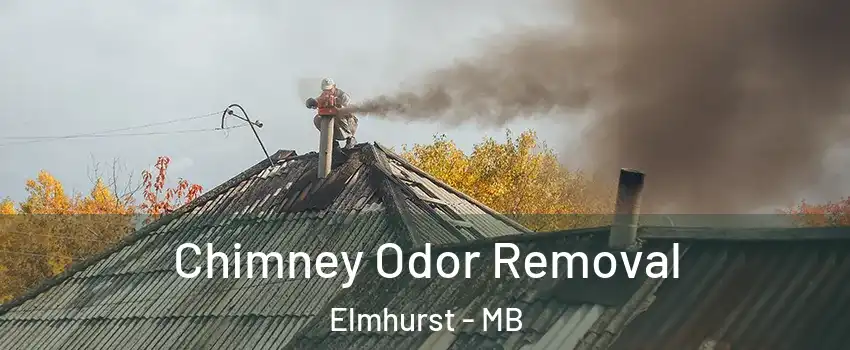  Chimney Odor Removal Elmhurst - MB