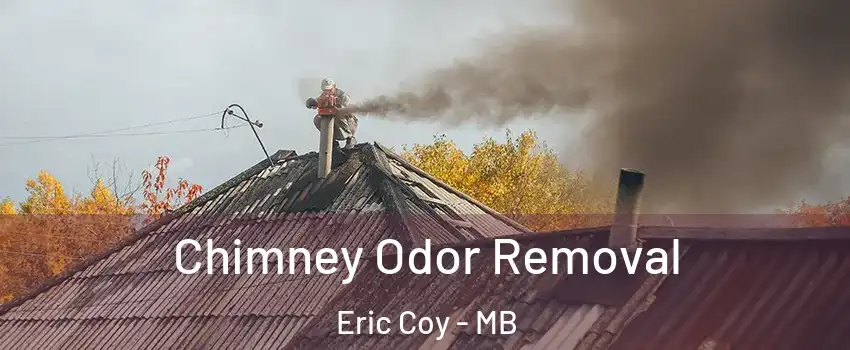  Chimney Odor Removal Eric Coy - MB