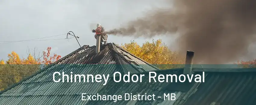  Chimney Odor Removal Exchange District - MB