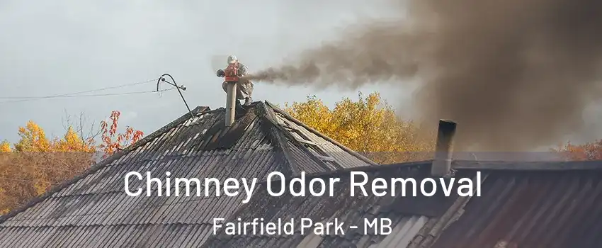  Chimney Odor Removal Fairfield Park - MB