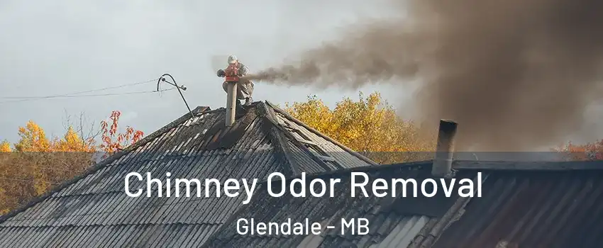  Chimney Odor Removal Glendale - MB