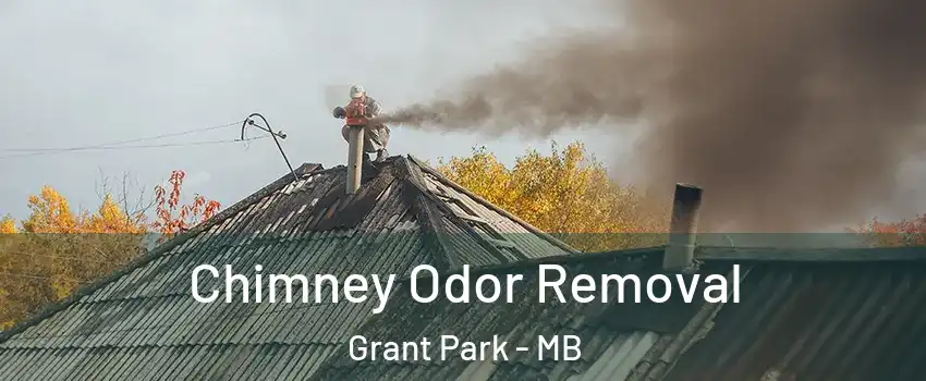  Chimney Odor Removal Grant Park - MB