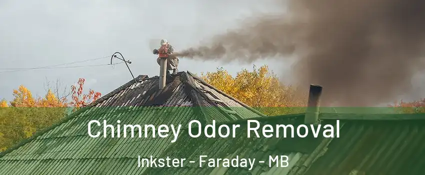  Chimney Odor Removal Inkster - Faraday - MB