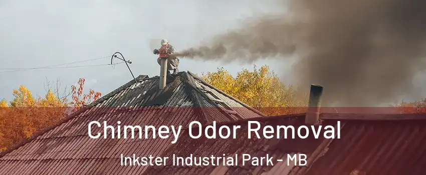  Chimney Odor Removal Inkster Industrial Park - MB