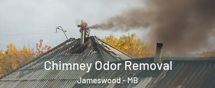  Chimney Odor Removal Jameswood - MB