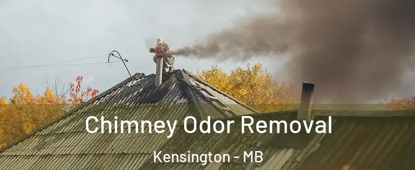  Chimney Odor Removal Kensington - MB