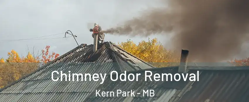  Chimney Odor Removal Kern Park - MB