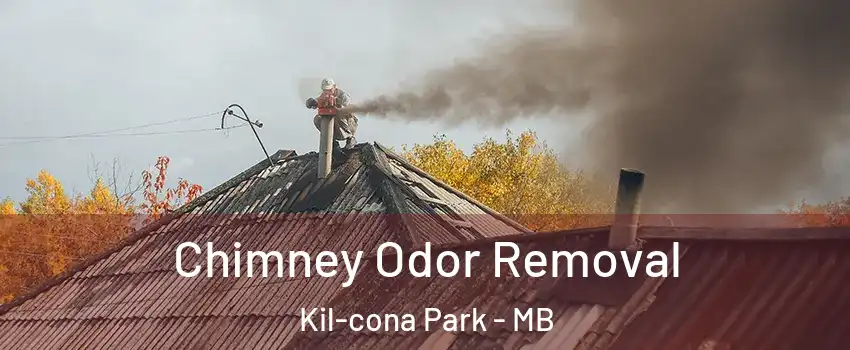  Chimney Odor Removal Kil-cona Park - MB