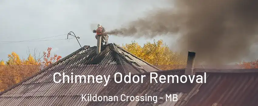  Chimney Odor Removal Kildonan Crossing - MB