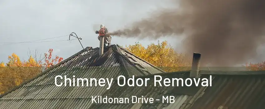  Chimney Odor Removal Kildonan Drive - MB