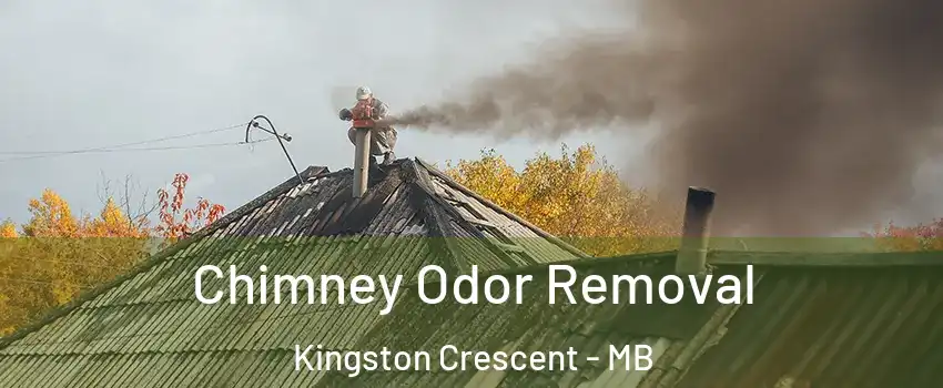  Chimney Odor Removal Kingston Crescent - MB