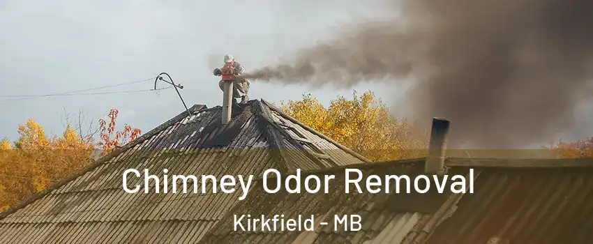  Chimney Odor Removal Kirkfield - MB