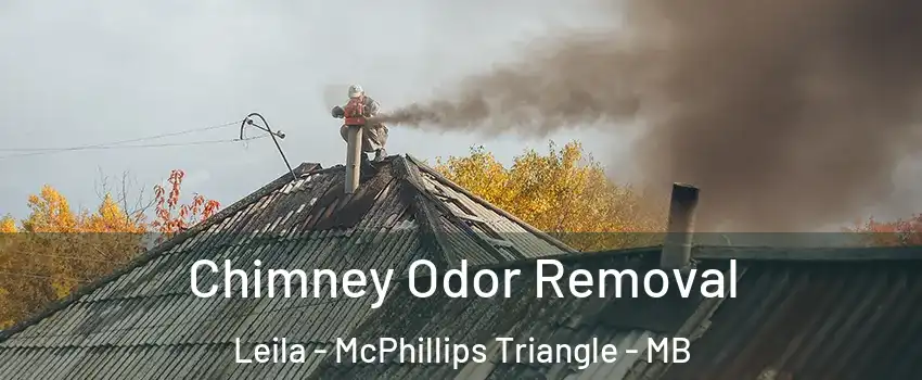  Chimney Odor Removal Leila - McPhillips Triangle - MB
