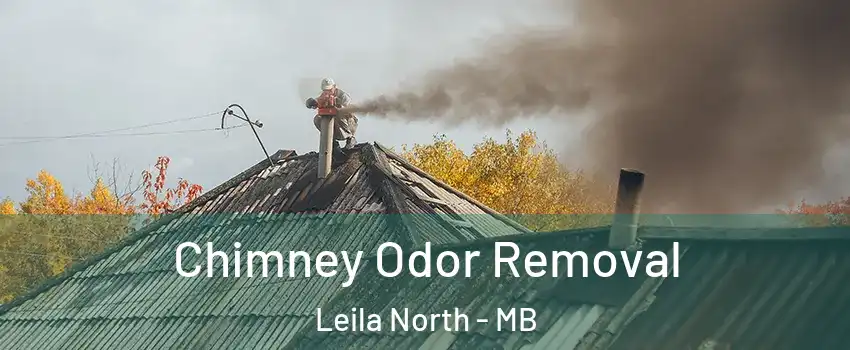  Chimney Odor Removal Leila North - MB