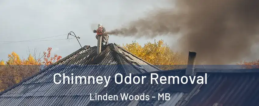  Chimney Odor Removal Linden Woods - MB