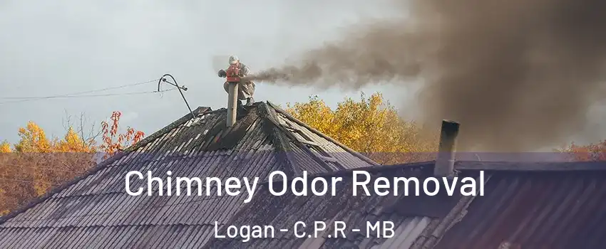  Chimney Odor Removal Logan - C.P.R - MB