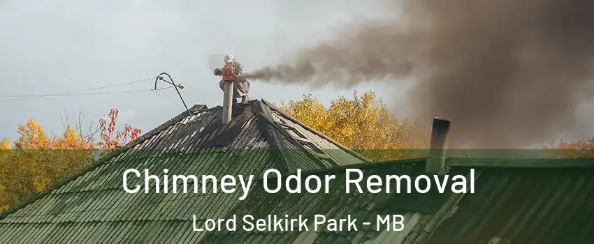  Chimney Odor Removal Lord Selkirk Park - MB