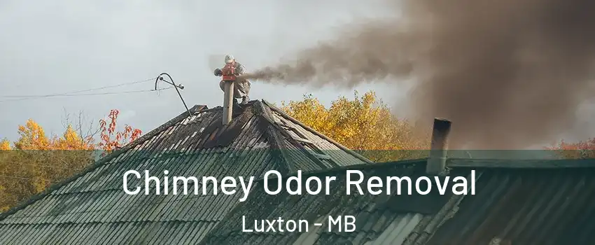  Chimney Odor Removal Luxton - MB