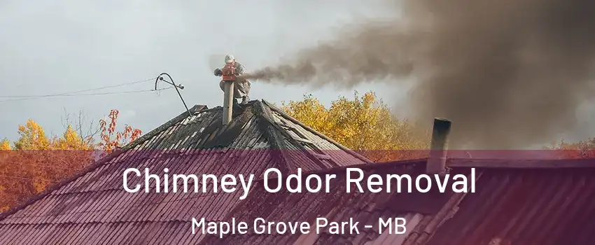  Chimney Odor Removal Maple Grove Park - MB