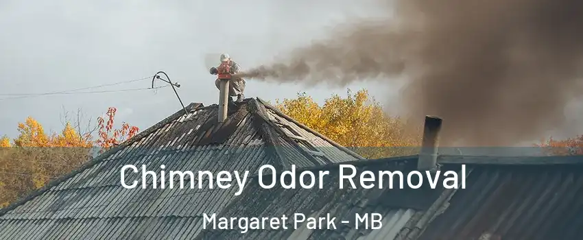  Chimney Odor Removal Margaret Park - MB