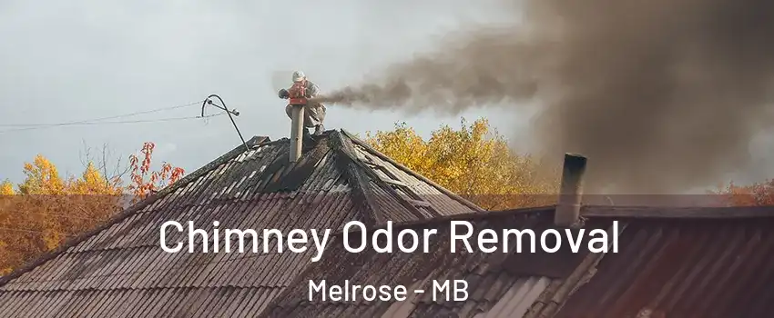  Chimney Odor Removal Melrose - MB
