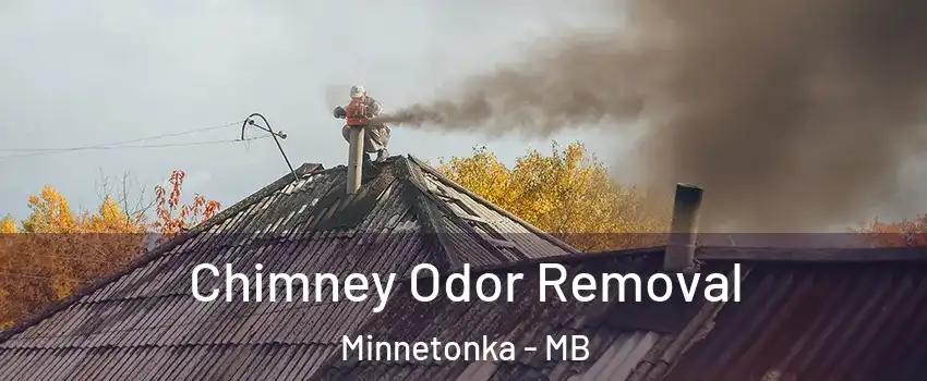  Chimney Odor Removal Minnetonka - MB