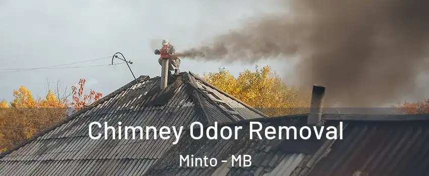  Chimney Odor Removal Minto - MB