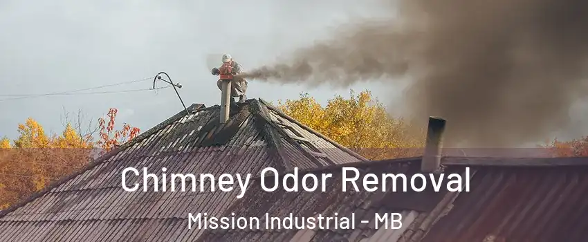  Chimney Odor Removal Mission Industrial - MB