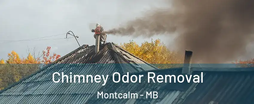  Chimney Odor Removal Montcalm - MB