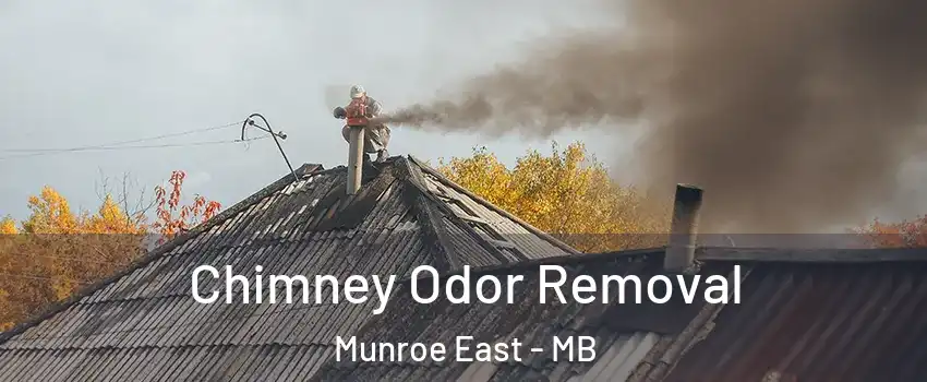  Chimney Odor Removal Munroe East - MB