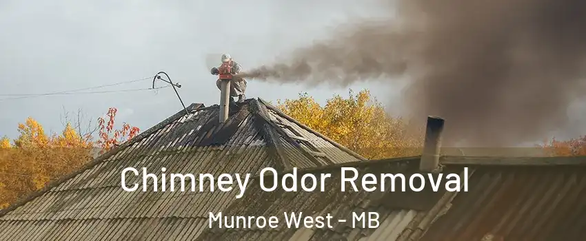  Chimney Odor Removal Munroe West - MB