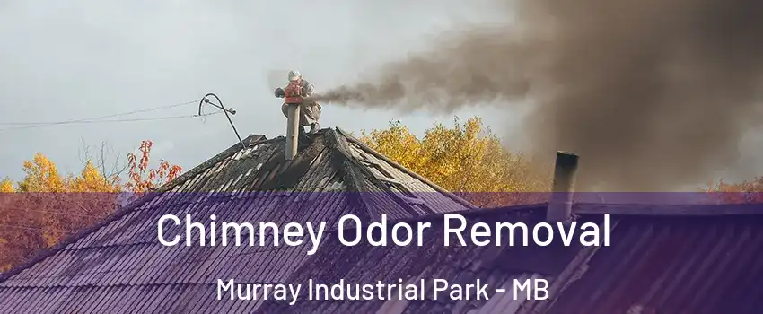  Chimney Odor Removal Murray Industrial Park - MB