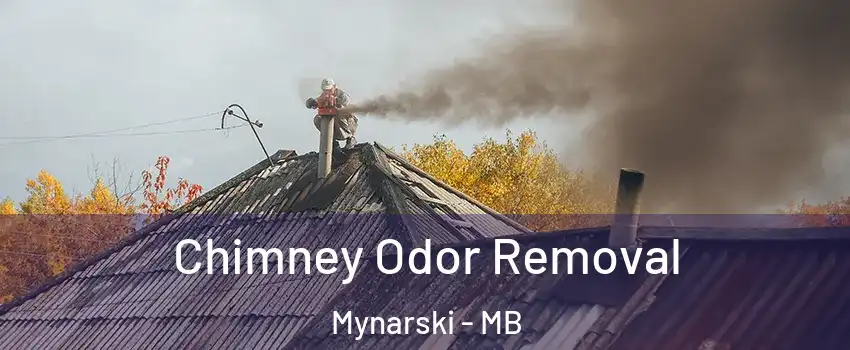  Chimney Odor Removal Mynarski - MB