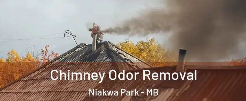  Chimney Odor Removal Niakwa Park - MB