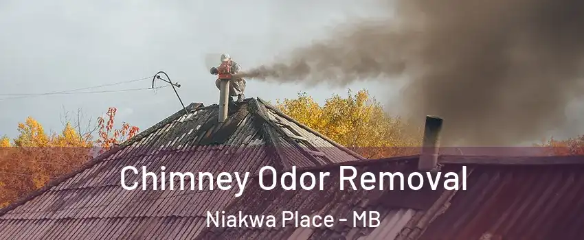  Chimney Odor Removal Niakwa Place - MB