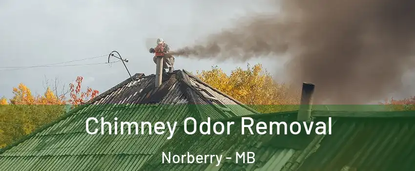  Chimney Odor Removal Norberry - MB