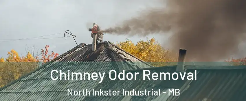  Chimney Odor Removal North Inkster Industrial - MB