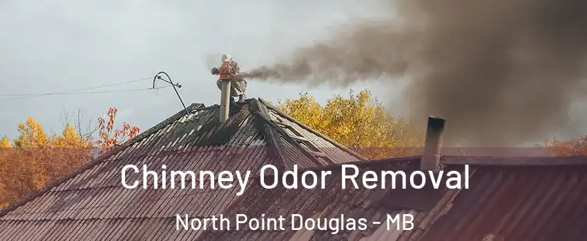  Chimney Odor Removal North Point Douglas - MB