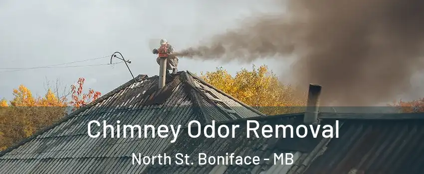  Chimney Odor Removal North St. Boniface - MB