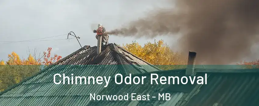  Chimney Odor Removal Norwood East - MB