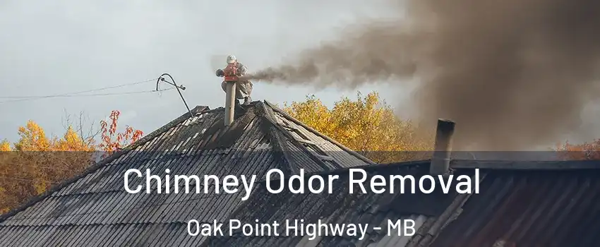  Chimney Odor Removal Oak Point Highway - MB